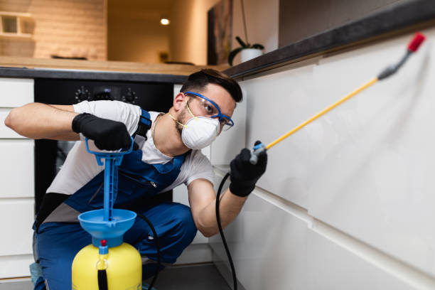 Best Termite Control Services  in Anson, TX