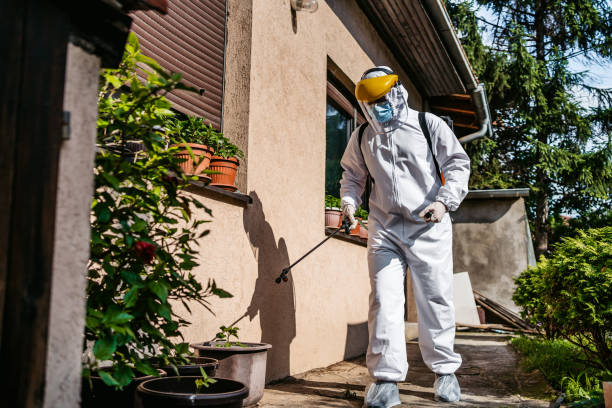 Professional Pest Control in Anson, TX