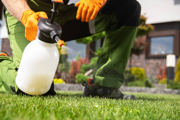 Best Rat Extermination Near Me  in Anson, TX