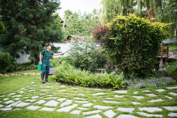 Best Ant Control Services  in Anson, TX