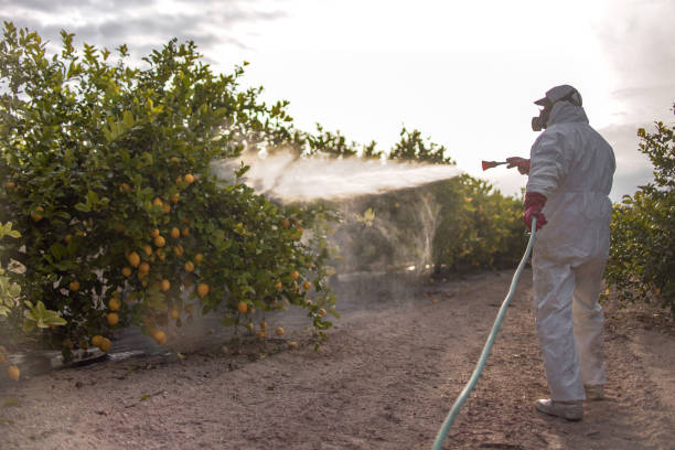 Best Best Pest Control Near Me  in Anson, TX