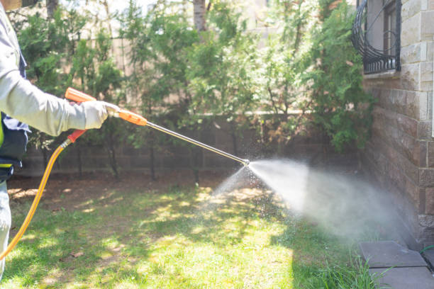 Best Wasp Removal Services  in Anson, TX