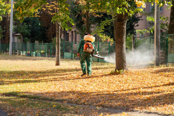 Best Emergency Pest Control  in Anson, TX