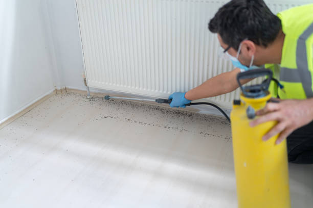 Best Pest Inspection Near Me  in Anson, TX