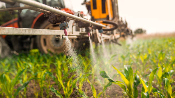 Pest Prevention Services in Anson, TX