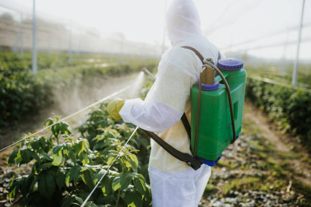 Best Pest Control Near Me in Anson, TX